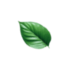 Natural leaf decoration