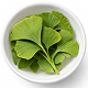 Ginkgo Biloba leaf extract - supports blood flow to the brain
